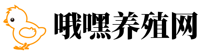 哦嘿养殖网